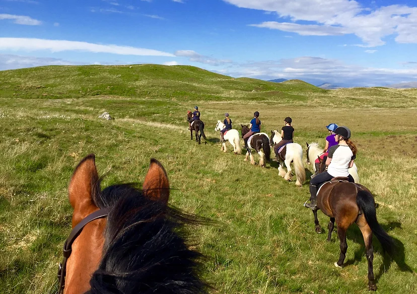 Achnalarig Stables