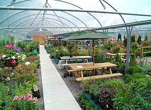 Corachie Clematis Garden Centre